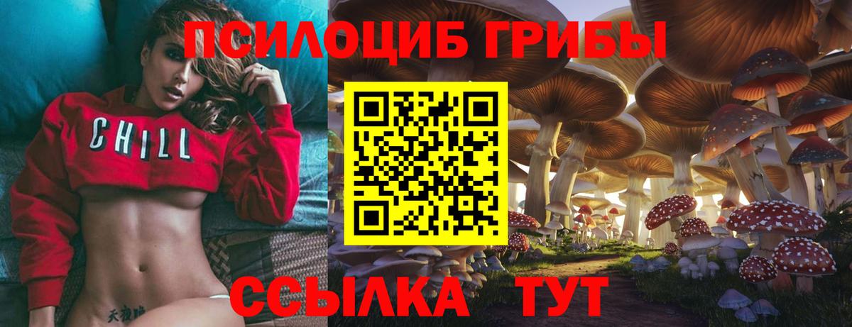 Галлюциногенные грибы мицелий Кировск